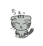 毎日使えるスコティッシュフォールドねこ（個別スタンプ：34）