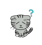 毎日使えるスコティッシュフォールドねこ（個別スタンプ：35）