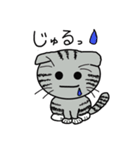 毎日使えるスコティッシュフォールドねこ（個別スタンプ：36）