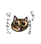 愛しき5匹の猫（個別スタンプ：1）