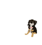 ジョリーとミミ（個別スタンプ：8）