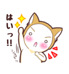 毎日使える！柴犬男子。お仕事用（個別スタンプ：1）