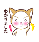 毎日使える！柴犬男子。お仕事用（個別スタンプ：2）