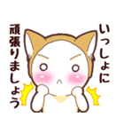 毎日使える！柴犬男子。お仕事用（個別スタンプ：12）