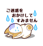 毎日使える！柴犬男子。お仕事用（個別スタンプ：39）