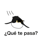ダンディペンギン スペイン語版（個別スタンプ：4）