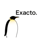ダンディペンギン スペイン語版（個別スタンプ：13）