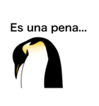 ダンディペンギン スペイン語版（個別スタンプ：16）