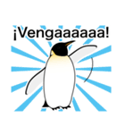 ダンディペンギン スペイン語版（個別スタンプ：18）