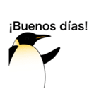 ダンディペンギン スペイン語版（個別スタンプ：19）