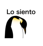 ダンディペンギン スペイン語版（個別スタンプ：21）