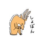 しかざらし（個別スタンプ：12）