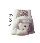 ジャンガリアンのムギ（個別スタンプ：2）