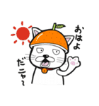 フルーツにゃん（個別スタンプ：1）