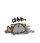 蛙と檸檬猫と蒟蒻犬（個別スタンプ：29）