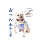 リオンスタンプ2byKumicco（個別スタンプ：3）
