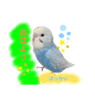 我が家のかわいんこスタンプ（個別スタンプ：1）