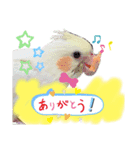 我が家のかわいんこスタンプ（個別スタンプ：4）