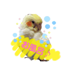 我が家のかわいんこスタンプ（個別スタンプ：6）