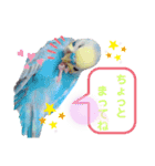 我が家のかわいんこスタンプ（個別スタンプ：7）