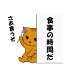 無気力はいねこは壁の向こう（個別スタンプ：13）