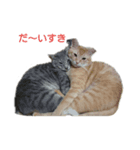 トラ＆サスケの気持ち（個別スタンプ：5）