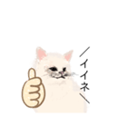 ＼ねこさん／（個別スタンプ：2）