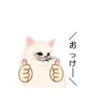 ＼ねこさん／（個別スタンプ：3）
