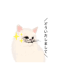 ＼ねこさん／（個別スタンプ：7）