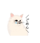 ＼ねこさん／（個別スタンプ：8）