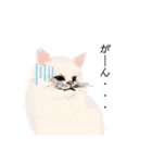＼ねこさん／（個別スタンプ：9）