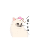 ＼ねこさん／（個別スタンプ：13）