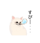＼ねこさん／（個別スタンプ：14）