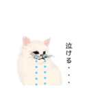 ＼ねこさん／（個別スタンプ：15）