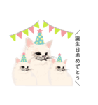 ＼ねこさん／（個別スタンプ：16）