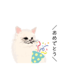 ＼ねこさん／（個別スタンプ：17）