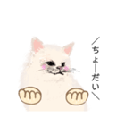 ＼ねこさん／（個別スタンプ：19）