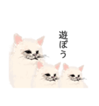 ＼ねこさん／（個別スタンプ：20）