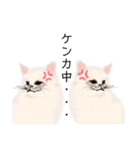 ＼ねこさん／（個別スタンプ：24）