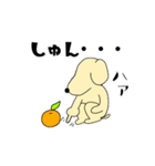 ミカン犬 2（個別スタンプ：19）