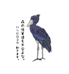 動かない鳥 ハシビロコウ先輩（個別スタンプ：2）