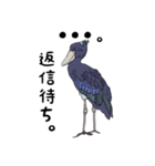 動かない鳥 ハシビロコウ先輩（個別スタンプ：5）