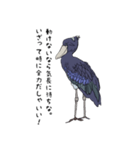 動かない鳥 ハシビロコウ先輩（個別スタンプ：7）