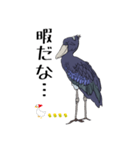 動かない鳥 ハシビロコウ先輩（個別スタンプ：8）