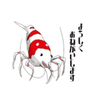 Red Bee Shrimp Sticker（個別スタンプ：4）