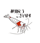 Red Bee Shrimp Sticker（個別スタンプ：8）