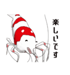 Red Bee Shrimp Sticker（個別スタンプ：25）
