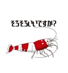 Red Bee Shrimp Sticker（個別スタンプ：29）