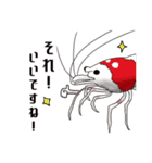 Red Bee Shrimp Sticker（個別スタンプ：32）