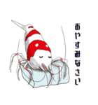 Red Bee Shrimp Sticker（個別スタンプ：39）